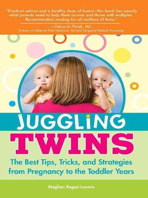 Juggling Twins - ebook